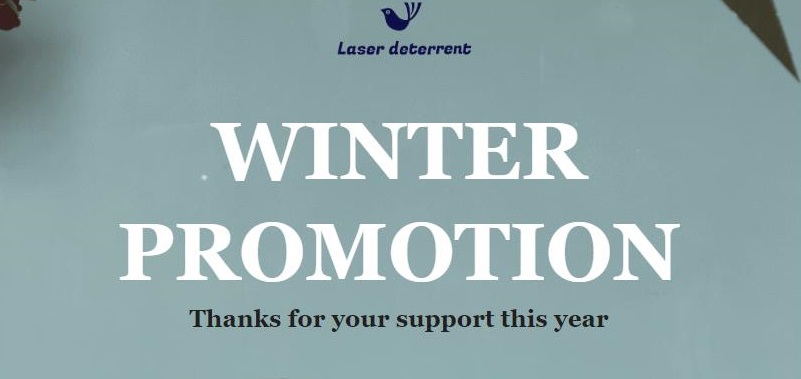 winter promotion 11.8 - 副本.jpg